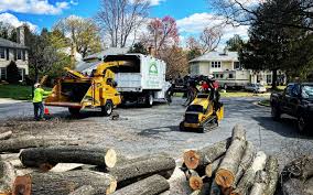 Best Tree and Shrub Care  in Bent, NE